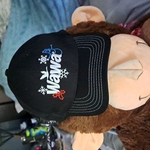 Wawa Hat rare